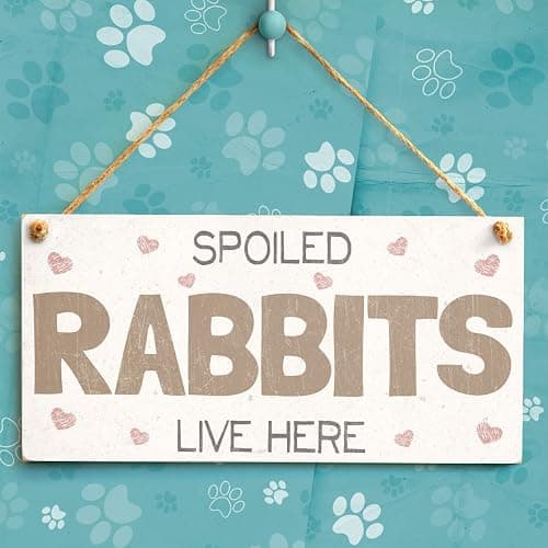 Meijiafei Spoiled Rabbits Live Here - Pretty PVC Rabbit Sign/Plaque 10"x5" thumbnail 2