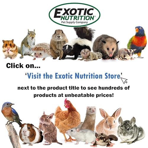 Exotic Nutrition Dozen Delights - Oat Donut Treats for Rabbits, Guinea Pigs, Hamsters, Chinchillas & Other Small Animals thumbnail 9