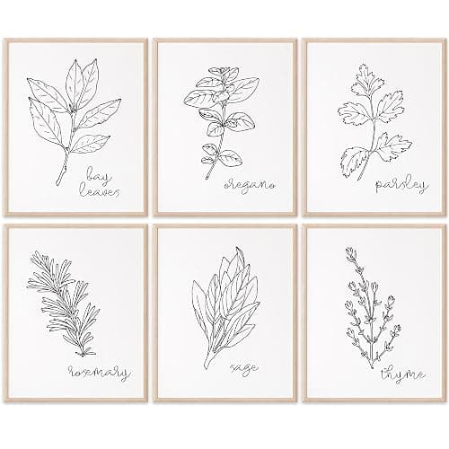 Kitchen Herbs Black & White (Set of 6) Art Print - 8x10 (Unframed) | Elegant Home Décor for Culinary Enthusiasts | Wall Art for Kitchen | Enhance Your Space with Timeless Charm | Kitchen Wall Décor - Image 1