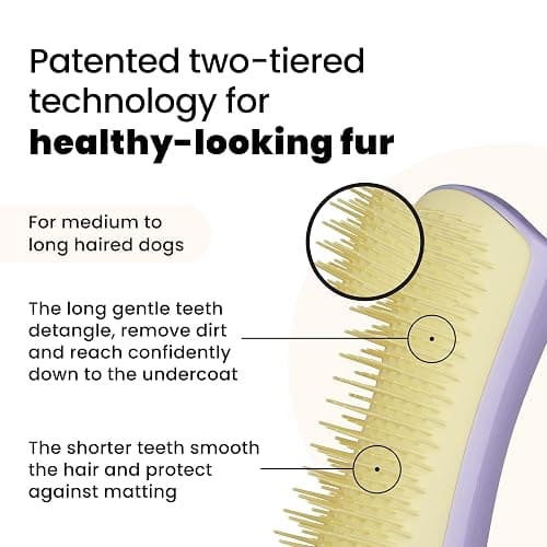 Pet Teezer Detangling Dog Grooming Brush, Dry Brush & Dog Bath Brush for Wet or Dry Fur & Light Shedding Breeds, Small, Lilac/Yellow thumbnail 2