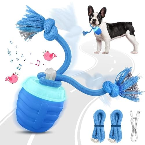 HVUATQ Interactive Dog Toys - 2025 Upgraded Motion Activated Balls for Medium/Large Dogs, Automatic Moving Dogs Toy Wicked Ball for Boredom, Interactive Dog Ball to Keep Them Busy(Blue) - Image 1