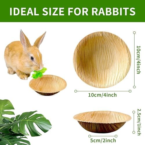 Jiaxix 30 Pcs Disposable Palm Leaf Bowls 4 inch Bowl for Rabbits, Compostable Like Bamboo Bowls Disposable Bowl Bunny Chew Toys Chewable Dish for Rabbits & Bunnies,Small Pets thumbnail 2