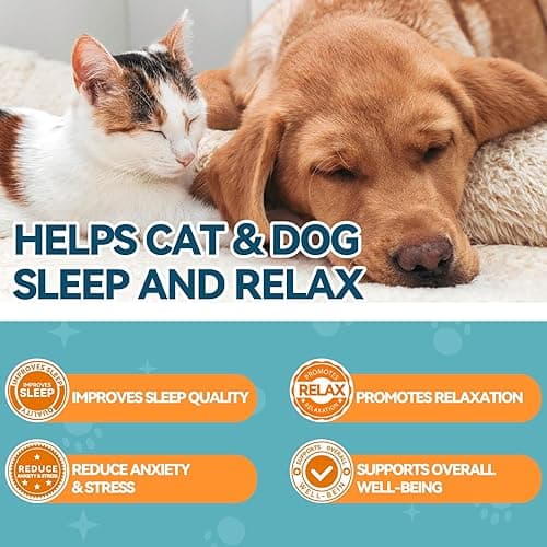 Melatonin for Pets, Dog Melatonin, Dog Sleep Supports, Liquid for Cats, Supports Relaxation Dogs & Cat, Calm Behavior in Dogs, Helps Restful Sleep, Chicken Flavor 60ml thumbnail 4