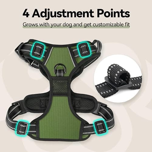 PHOEPET No Pull Dog Harness with Handle Front & Back Clip, Easy on Lockable Snap Buckle at Neck, Adjustable Reflective Vest with Handle for Small Medium Large Dogs (L, Misty Green) thumbnail 7