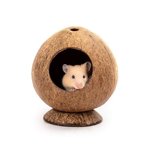 andwe Coconut Hut Hamster House Bed for Gerbils Mice Small Animal Cage Habitat Decor - Image 1