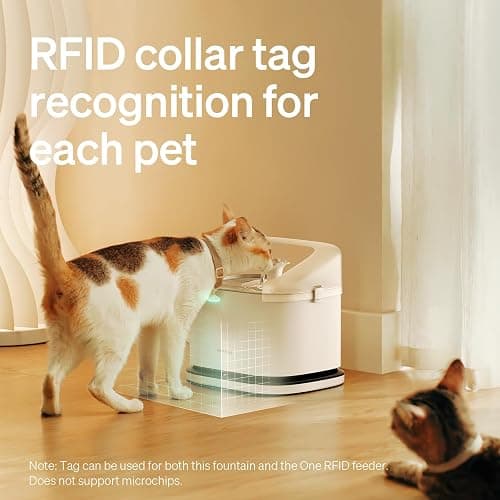 PETLIBRO RFID Automatic Cat Feeder & Water Fountain – Collar Tag Activated, Personalized Feeding & Fresh Water for Multi-Pet Homes, Wi-Fi Programmable Combo with Cat Recognition & Diet Tracking thumbnail 4
