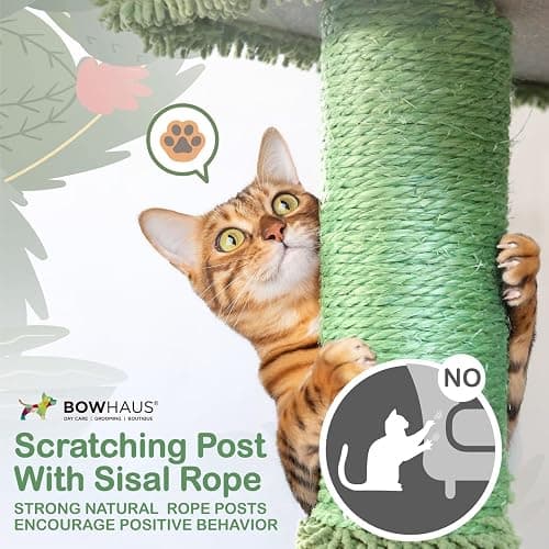 CAPHAUS Cactus Cat Tree for Indoor Cats, Cute 70-Inch Cat Climbing Play Tower with Top Perch for Large Cats Kittens, Multi-Level Cat Activity Tree with Scratching Posts, Hammock, Cat Cave Condo thumbnail 6