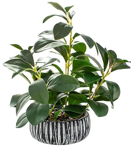 AlphaAcc Fake Plants Potted Artificial Succulents Home Office Decor | Artificial plants with rustic black clay planter ideal bathroom kitchen office farmhouse desk living room indoor decor - Image 1