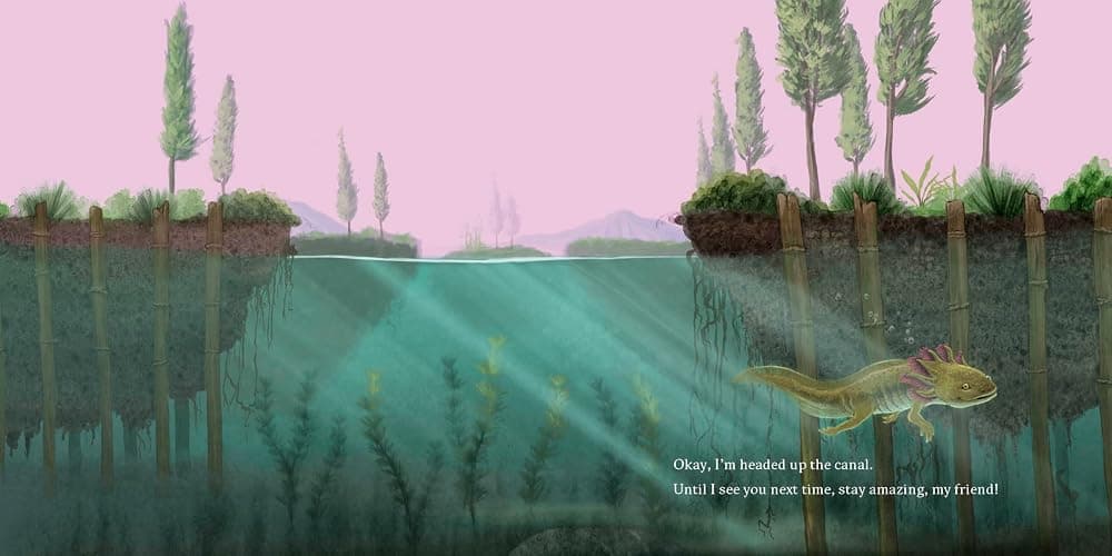 Hello, I'm an Axolotl (Meet the Wild Things, Book 4) - Hardcover thumbnail 6