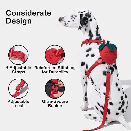 VETRESKA Strawberry Dog Harness and Leash Set, No Pull Dog Vest Harness for Small Dogs Cats, Walking and Training, Adjustable, Easy Control and Soft Padded Pet Harness and Backpack (XS) thumbnail 4