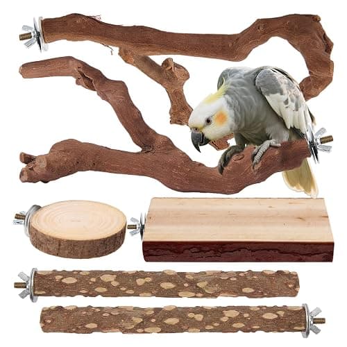 Parrot Perch Bird Perch Stand Set Natural Wild Wood Grape Sticks Paw Grinding Fork Parakeet Climbing Standing Branches Toys Cage Accessories for Conure,Cockatiels Lovebirds,Budgies Chewable 6PC - Image 1