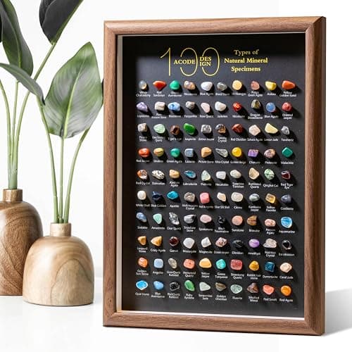 ACODE Natural Mineral Specimen Shadow Box, Geology Collection Display Case, Home Decor Wall Art Tabletop Display with Real Rocks Crystals, Gift for Birthday Christmas Housewarming Children's Day - Image 1