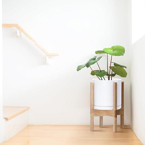 D'vine Dev Ceramic Planter with Natural Stand - 8 Inch Modern Round Flower Pot with Wood Planter Holder, White, 55-B-N-1 thumbnail 2