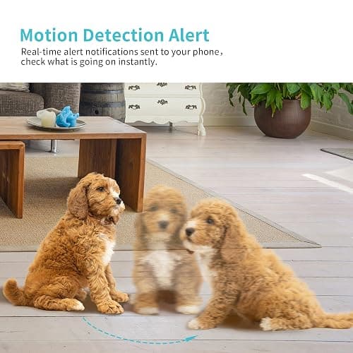 Armorcope Pet Camera, 2K HD Dog Camera with Phone APP, 360° Pan/Tilt View Puppy Cam, One Click Call for Baby Monitor, MagivPix Night Vision,Motion Tracking Alarm with Cloud/Local SD -2 Pack thumbnail 3