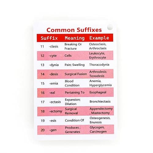 Medical Terminology Flash Cards 2026 – Essential Accessories for Paramedic & Pharmacology Flash Cards | Learn 187 Prefixes & 81 Suffixes with Ease | Nursing School Bundle & LPN Must-Haves thumbnail 7
