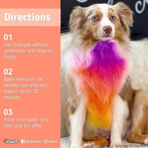 Doggie hair dye  thumbnail 6