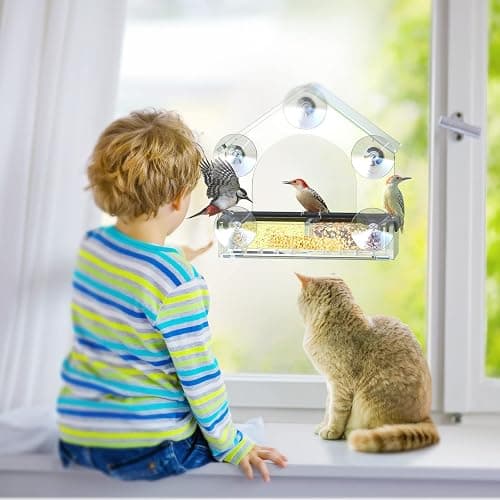Clear Window Bird Feeder with 5 Extra Strong Suction Cups, DY-SKTY Sturdy and Durable Acrylic Birdfeeders for Viewing Wild Birds Outside, as a Bird Watching Gift, Outdoor Birdhouse Box, Garden Decor thumbnail 2