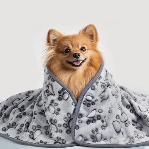 Luciphia Premium Soft Dog Blanket for Large Dogs Washable 300GSM Fluffy Warm Fleece Puppy Cat Paw Print Pet Flannel Grey Paw L(41"x31") thumbnail 8