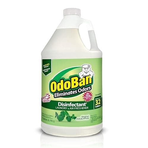 OdoBan Disinfectant Concentrate and Odor Eliminator, Made in the USA, Original Eucalyptus Scent, 1 Gallon - Eucalyptus - 128 Fl Oz (Pack of 1) - Image 1