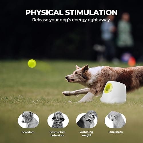 ALL FOR PAWS Automatic Dog Ball Launcher for Medium to Large Dogs, Interactive Tennis Ball Thrower, Rechargeable Dog Toy Mental Stimulation Training Game for Energetic Dogs thumbnail 3