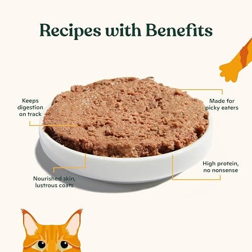 Made by Nacho Pate Wet Cat Food Variety Pack, Chicken, Salmon, and Turkey, 5.5 Ounce Cans, Grain-Free Canned Pet Food, Bone Broth Infused for Hydration, Limited Ingredients, 12 Pack thumbnail 3