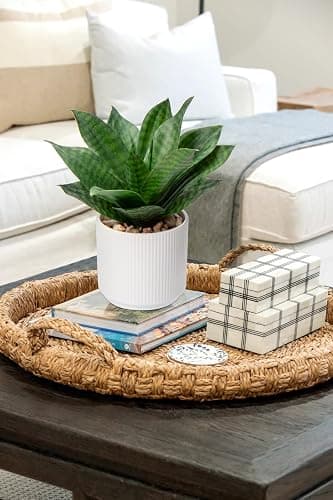 Artificial Agave Succulent Plants Faux Snake Plant Fake Succulent Agave Plant Potted in White Pot Succulent Aloe Plant for Desk Modern Office Living Room Table Shelf Home Indoor Outdoor Decor thumbnail 6