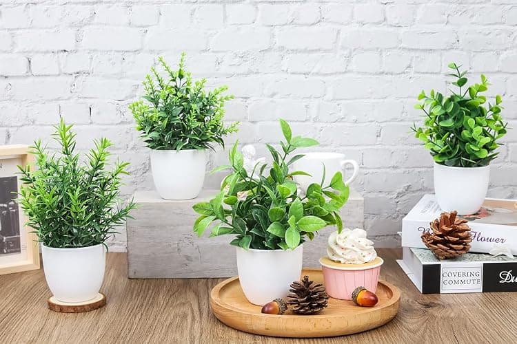 Der Rose Faux Plants Indoor, 4 Pack Small Fake Plants Mini Artificial Plants in Pots for Home Office Shelf Farmhouse Bathroom Decor thumbnail 4