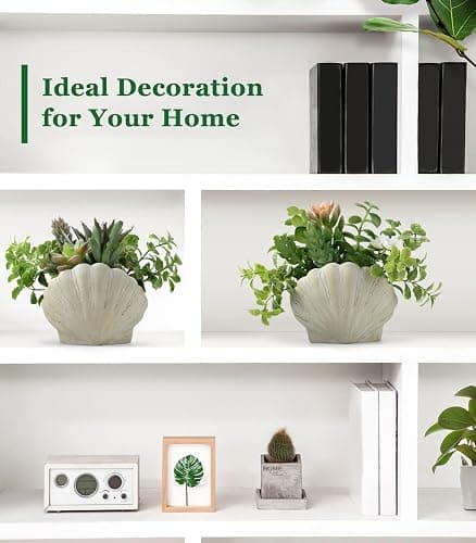 Lewondr Fake Plants Set of 2, Assorted Faux Succulents Artificial Plants with Sea Shell Pots, Artificial Greenery in Coastal Beach Decor, Ocean Seashell Series for Home Bedroom Beach Theme Party thumbnail 7