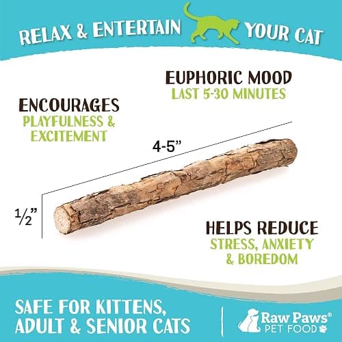 Raw Paws Silvervine Sticks for Cats (30-Count) - Dental Cat Chew Stick | Catnip Alternative - Matatabi Cat Toy - Silver Vine Sticks - Indoor Cat Enrichment & Chewing thumbnail 3