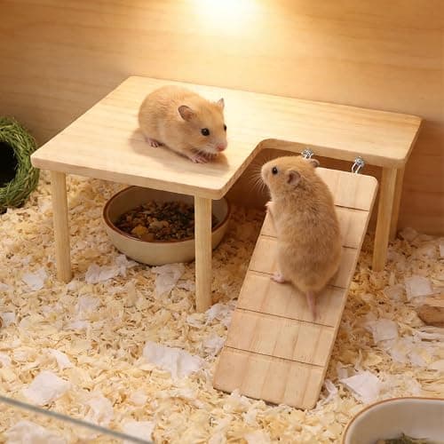Wooden Hamster Platform for Cage | Durable Climbing Perch Chew Toy for Hamsters Gerbils Mice Degus thumbnail 6