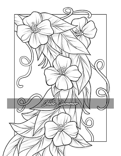 Minimalist Art: Adult Coloring Book for Women and Teens with Easy Boho Designs for Stress Relief and Relaxation (Easy Coloring Books) thumbnail 12