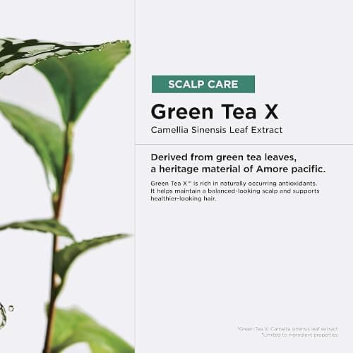 AMOS PROFESSIONAL Green Tea Active Shampoo l Anti-Aging for Fine, Thinning Hair | Protects Scalp & Volumizing Hair | Clinically Proven, 16.9 fl.oz thumbnail 6