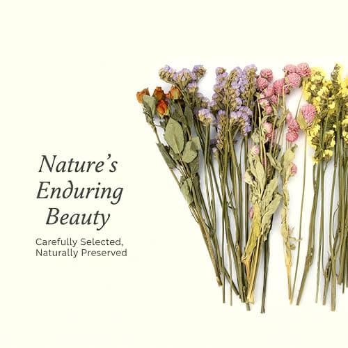 Sukh Hamster Bedding Sprays Habitat Decor - Natural Hamster Cage Accessories with Floral Forage, Layered Small Animal Habitat Decor for Hamster Enrichment, Syrian Hamster Hideout Cage Decor thumbnail 6