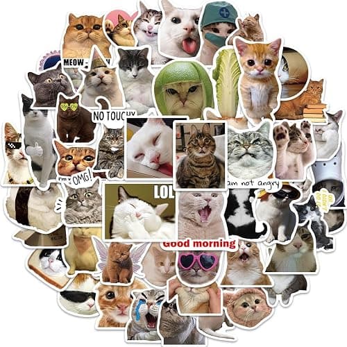 100 PCS Cute Cat Stickers, Funny Meme Cat Stickers Pack, Waterproof Vinyl Stickers for Kindle Water Bottles Skateboard Guitar Snowboard Luggage for Cat Lovers thumbnail 5