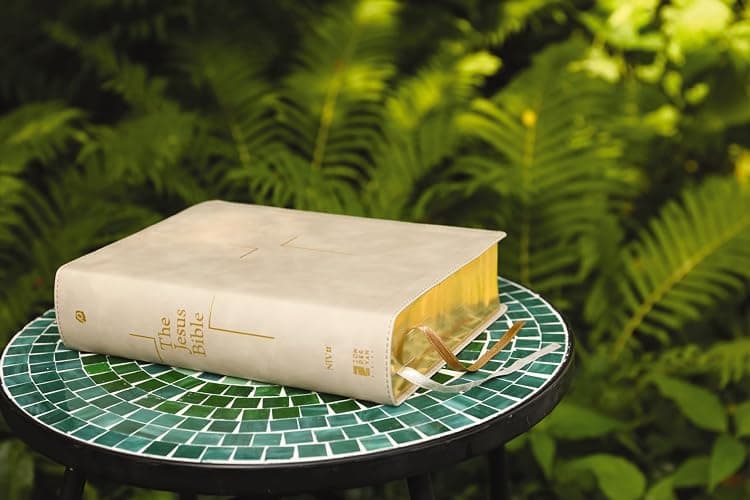 The Jesus Bible, NIV Edition, Leathersoft, Stone, Comfort Print thumbnail 3