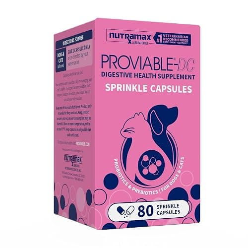 Nutramax Proviable Probiotics + Prebiotics, for Dogs & Cats, Capsules, 80ct | Probiotics and Prebiotics for Cats and Dogs, Daily Gut Health Support Supplement, Multiple Strains, Sprinkle on Food - Image 1