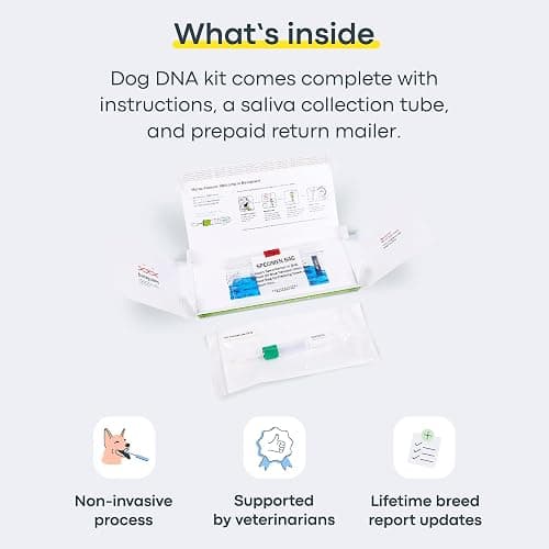 Basepaws Cat DNA Test Kit - Comprehensive Breed, Health and Dental Analysis Across 114 Traits for Accurate and Easy-to-Use Genetic Insights - Cat Breed + Health DNA Test - Basic thumbnail 7