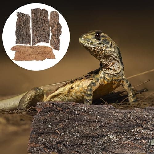 4pcs Reptile Bark Decor Wood,Natural Cork Bark, Bark Cork Hides Water Bark Flats Decor,Reptile Bark Cork Wood Bark Terrarium for Bearded Dragon Lizard Geckos Tortoise Random Shape Random Size Deliver thumbnail 8