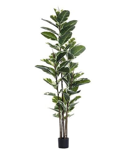 FLOWORLD Artificial Rubber Tree Plant 6ft Tall Faux Ficus Tree Potted Fake Tropical Plants Decorative House Plants Large Floor Artificial Trees for Home Office Decor, Without The Pot thumbnail 8