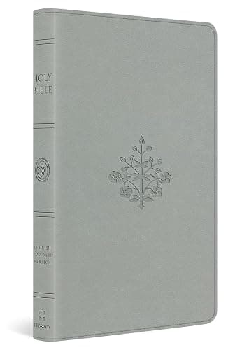 ESV Large Print Value Thinline Bible (TruTone, River Stone, Branch Design): Holy Bible, English Standard Version - Image 1