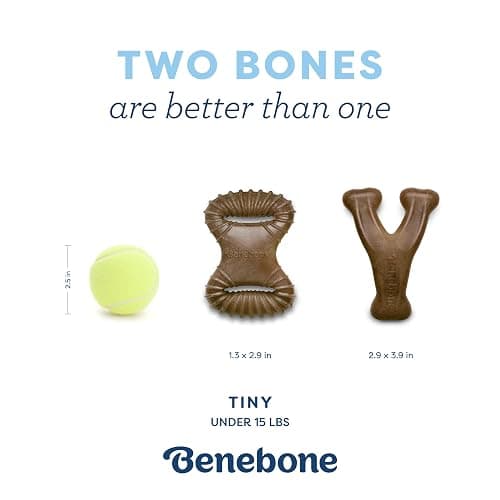 Benebone Puppy 2-Pack Dental Chew/Wishbone Dog Chew Toys, Real Bacon | Made in USA, Dog Bones, Puppy Toys, Puppy Teething Toys, Long-Lasting, Keeps Them Busy thumbnail 4