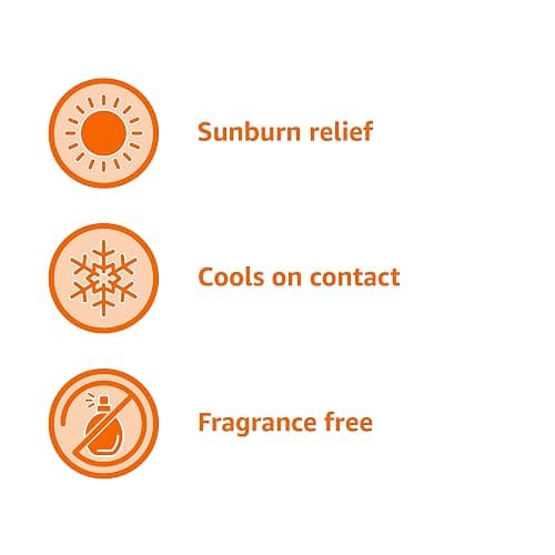 Amazon Basics Sunburn Relief Gel with Aloe Vera, Soothing, Cooling, Itch Relief, 8 oz, Pack of 1 (Previously Solimo) thumbnail 6