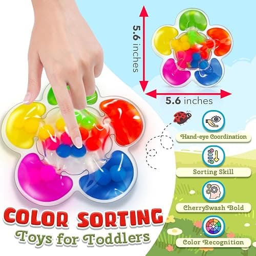 Color Sorting Sensory Toys for Autism, Roadtrip Travel Essenstial for Toddler, Color Matching Fidget Toy Preschool Learning Activities Educational Calm Down Montessori Toy for Kids Ages 1 2 3 thumbnail 2