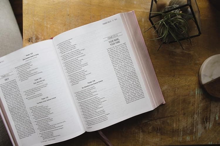 The Jesus Bible, ESV Edition, Leathersoft over Board, Pink thumbnail 4