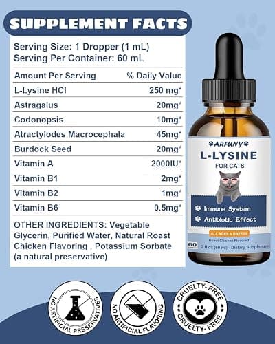 SANTKOL L-Lysine Supplement for Cats - Immune Support - 60ML Lysine for Feline Respiratory, Sneezing, Runny Nose, Eye Function - Natural Cat Antibiotic Drops - Roast Chicken Flavor thumbnail 6