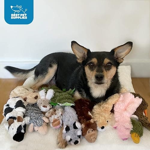 (2 Pack) Racoon & fox dog toys thumbnail 8