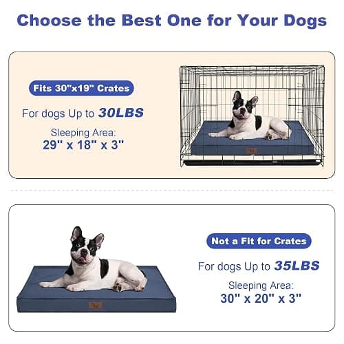 Tail Stories Outdoor Waterproof Dog Bed, Orthopedic Dog Bed for Medium Dogs 30x20 Inch, Egg Crate Foam Pet Bed with Washable Removable Oxford Cooling Cover, Navy thumbnail 2