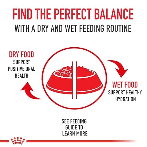Royal Canin Pomeranian Adult Wet Dog Food, 3 oz, 6-Pack | Skin & Coat Support with EPA & DHA, Bone & Joint Support, For Adult Pomeranians, Loaf in Sauce, Developed by Veterinarians thumbnail 5