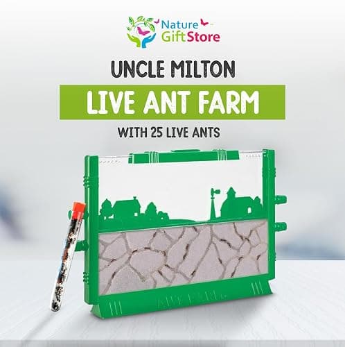 Classic Ant Farm with 25 Live Ants Shipped Now - Ant Farms for Kids with Live Ants, Includes Live Ants for Ant Farm with Connectable Habitat Kit, Interactive Learning Experience Gift thumbnail 7