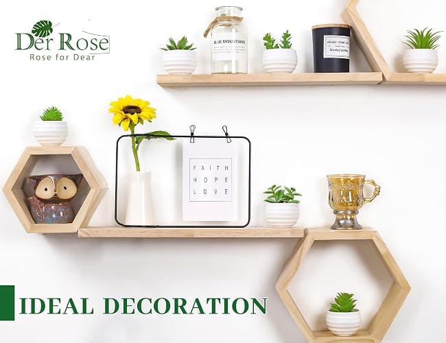 Der Rose Set of 6 Succulents Plants Artificial in Pots Small Fake Plants for Bedroom Aesthetic Living Room Shelf Bathroom Decor Office Desk Accessories thumbnail 4
